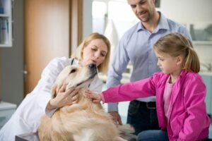 A woman and child petting a dog while another girl watches.