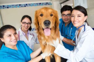 A group of people with a dog in the hospital