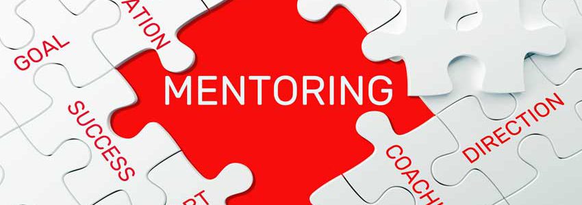 A red background with white puzzle pieces and the word mentoring.