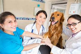 A group of people and a dog in a room.