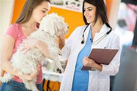 A woman holding a white dog and another person