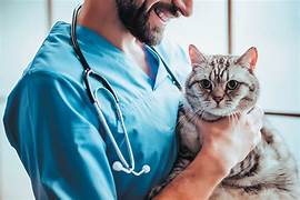 A man holding a cat with a stethoscope around his neck.