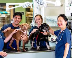 A group of people holding dogs in a room.