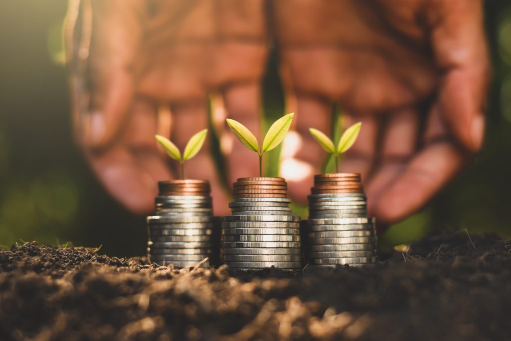 Stacks of coins with growing plants on top of them.