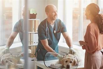 Vet talking to a woman about her dog.