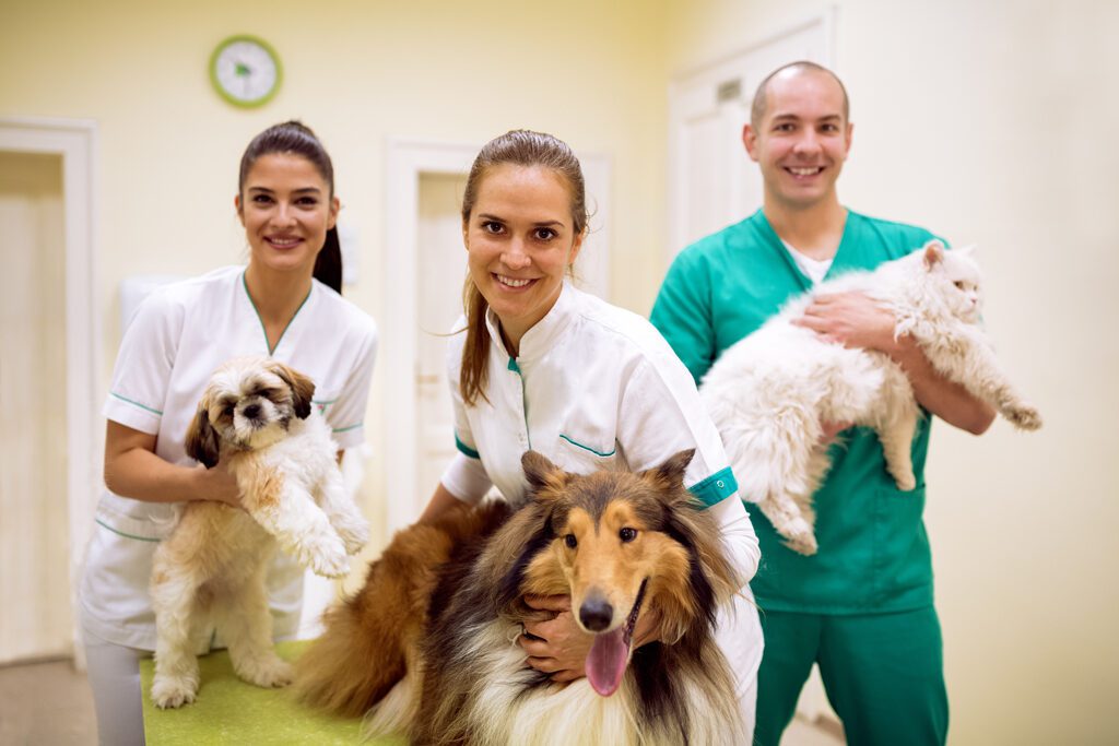 Veterinarians with a dog, cat and a puppy.