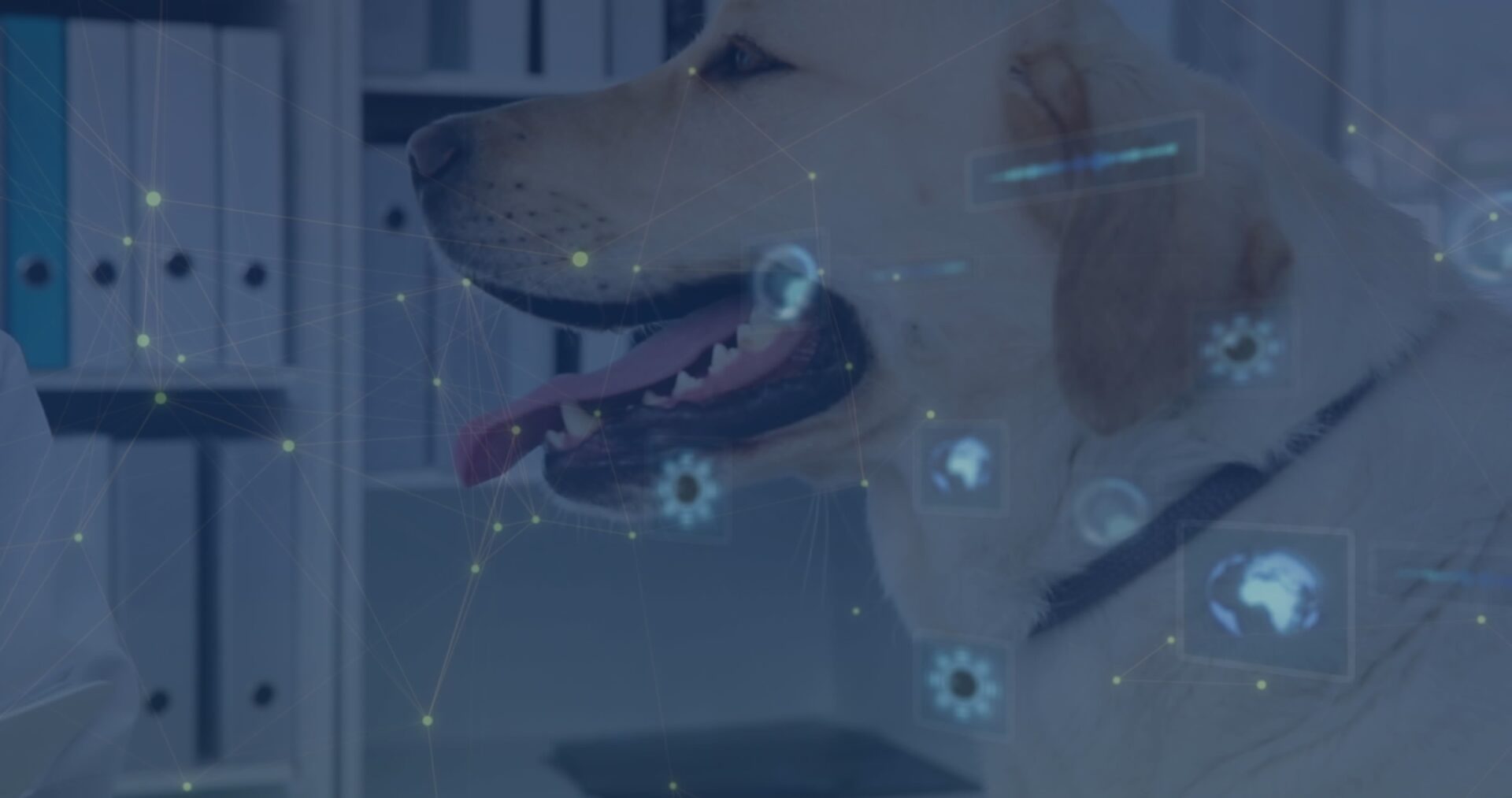 Dog with digital graphics in the background.