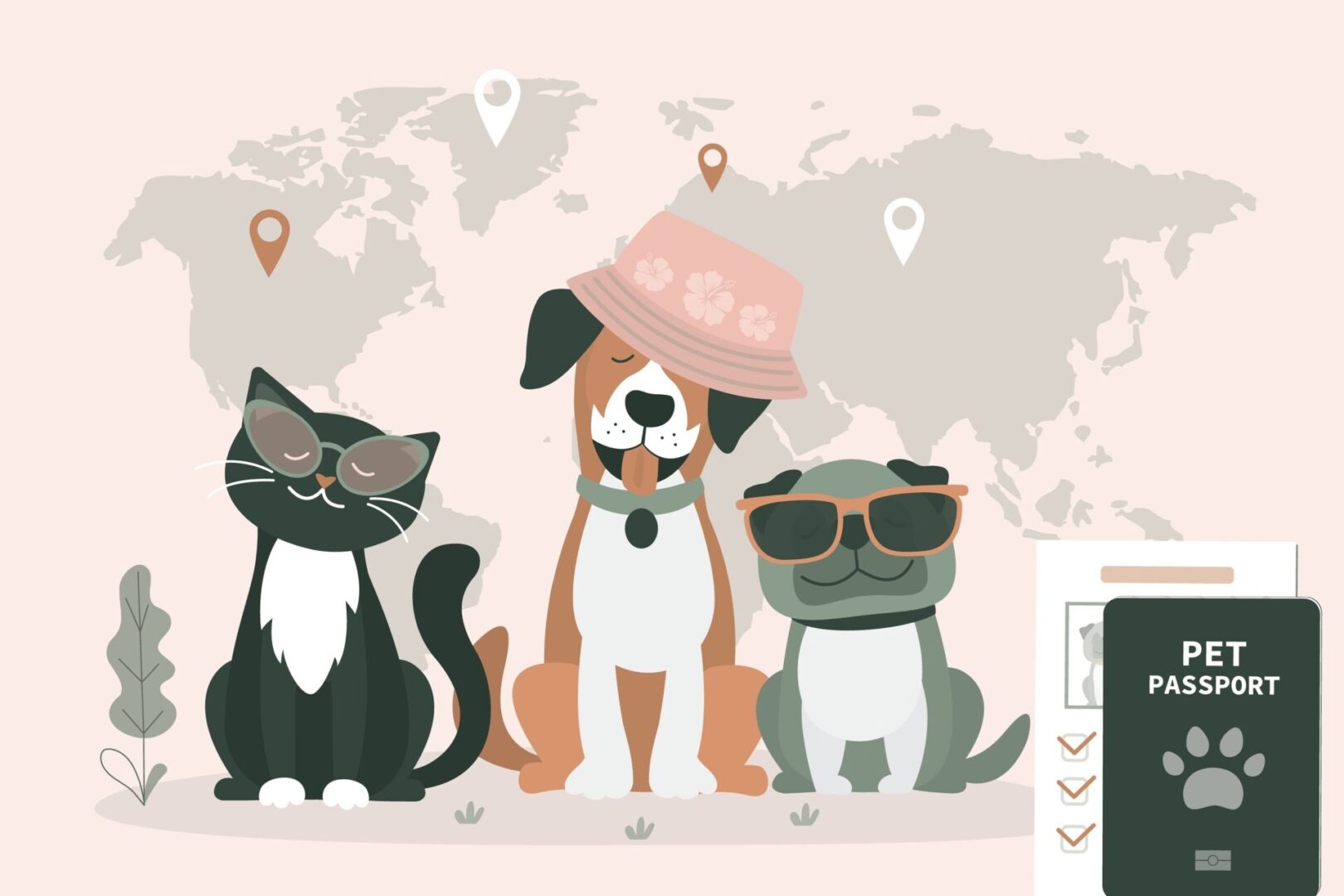 Vet,Passport,,Veterinary,Document,That,Allows,To,Travel,With,Pet. Vet,Passport,,Veterinary,Document,That,Allows,To,Travel,With,Pet.